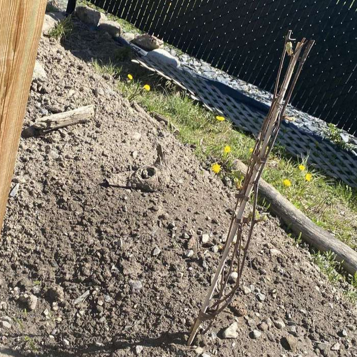 Image de diapositive