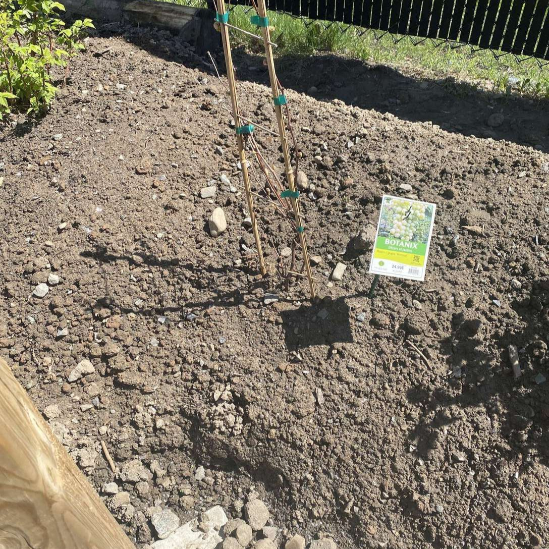 Image de diapositive