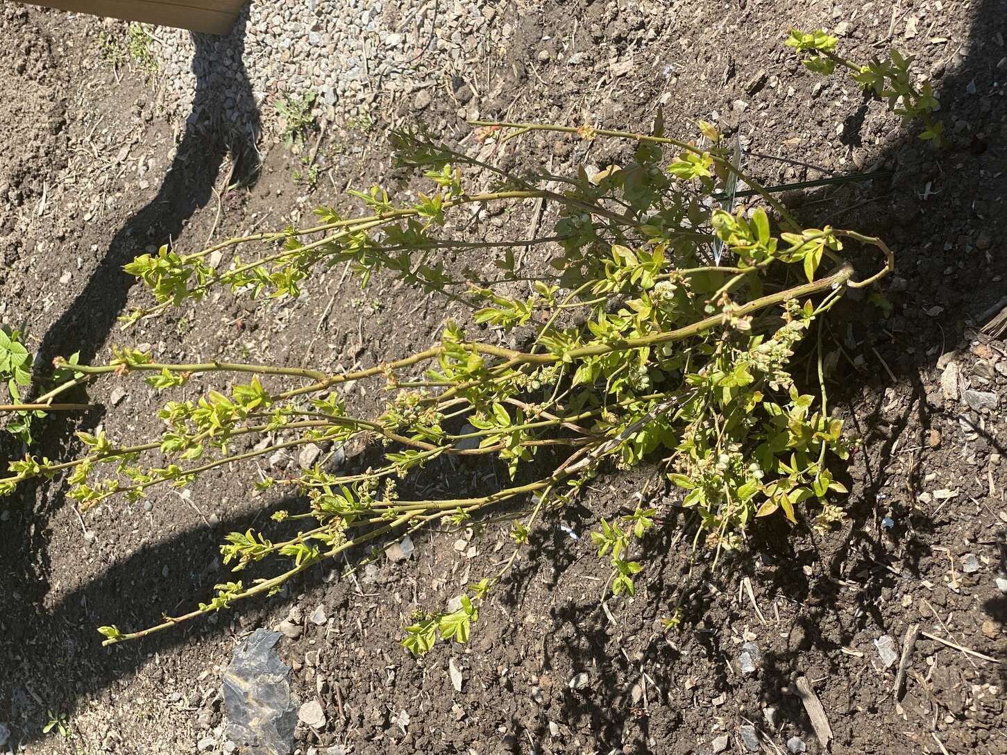 Image de diapositive