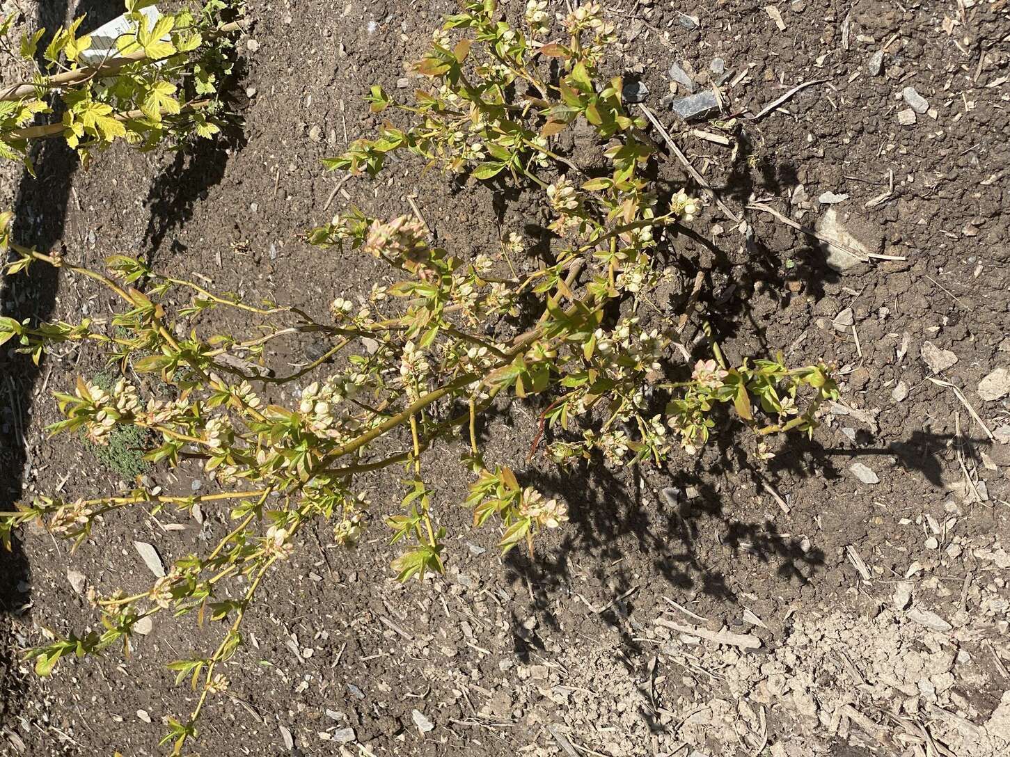 Image de diapositive