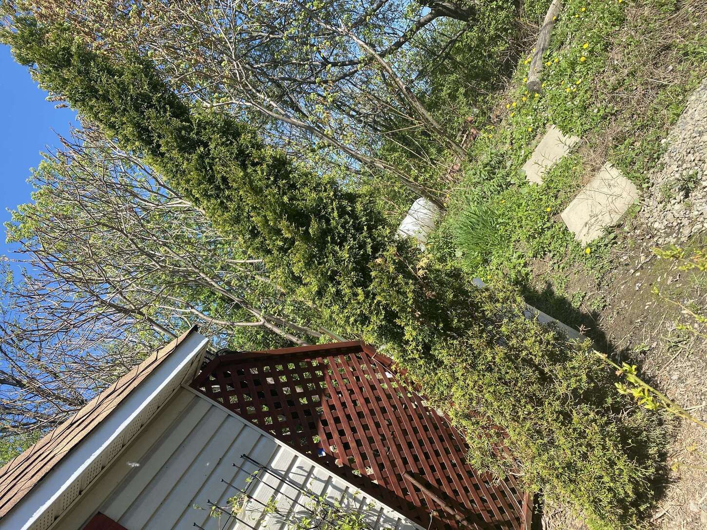 Image de diapositive