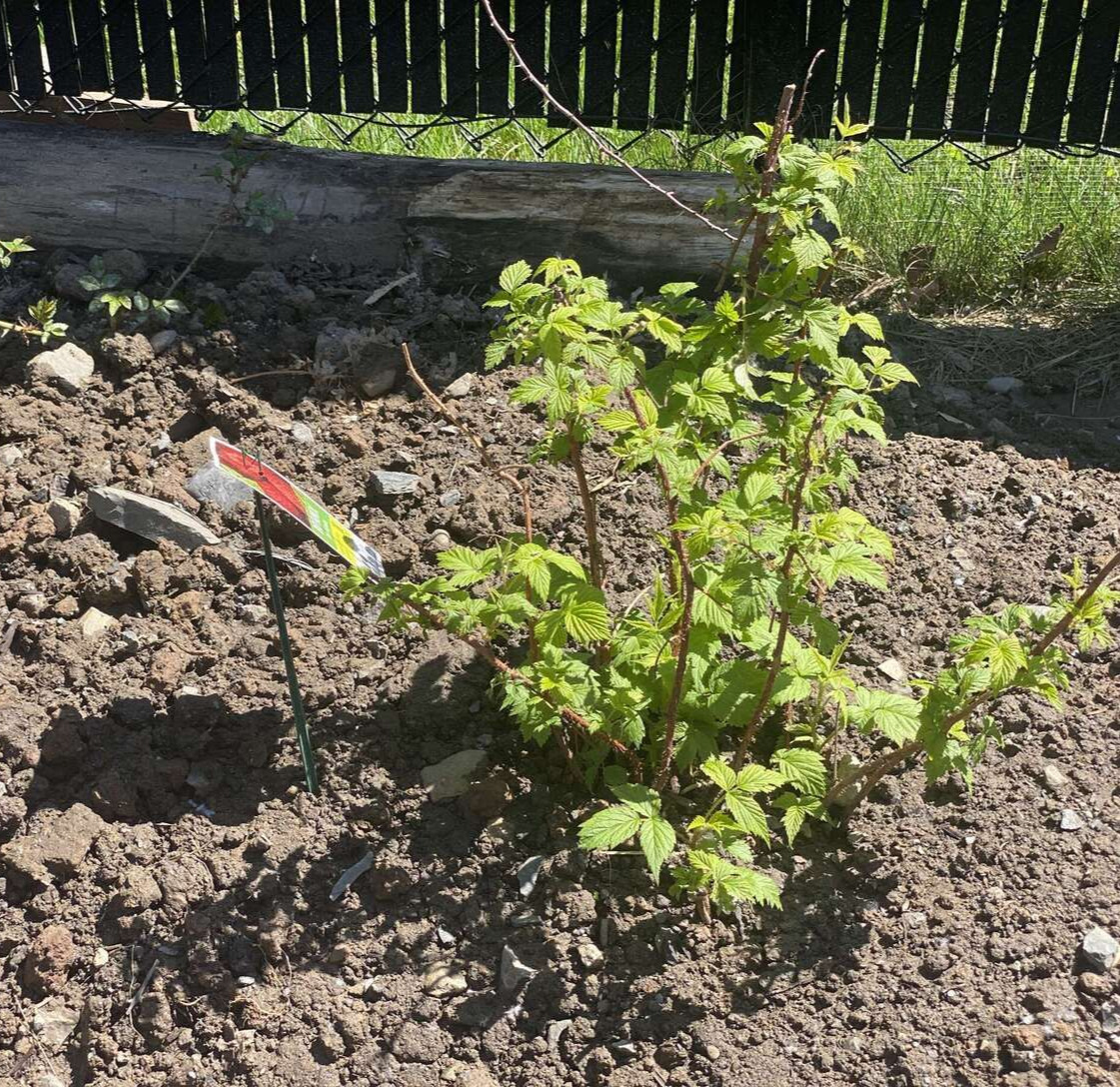 Image de diapositive