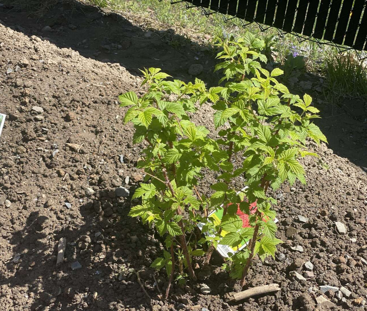 Image de diapositive