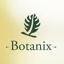 Équipe de l'entreprise