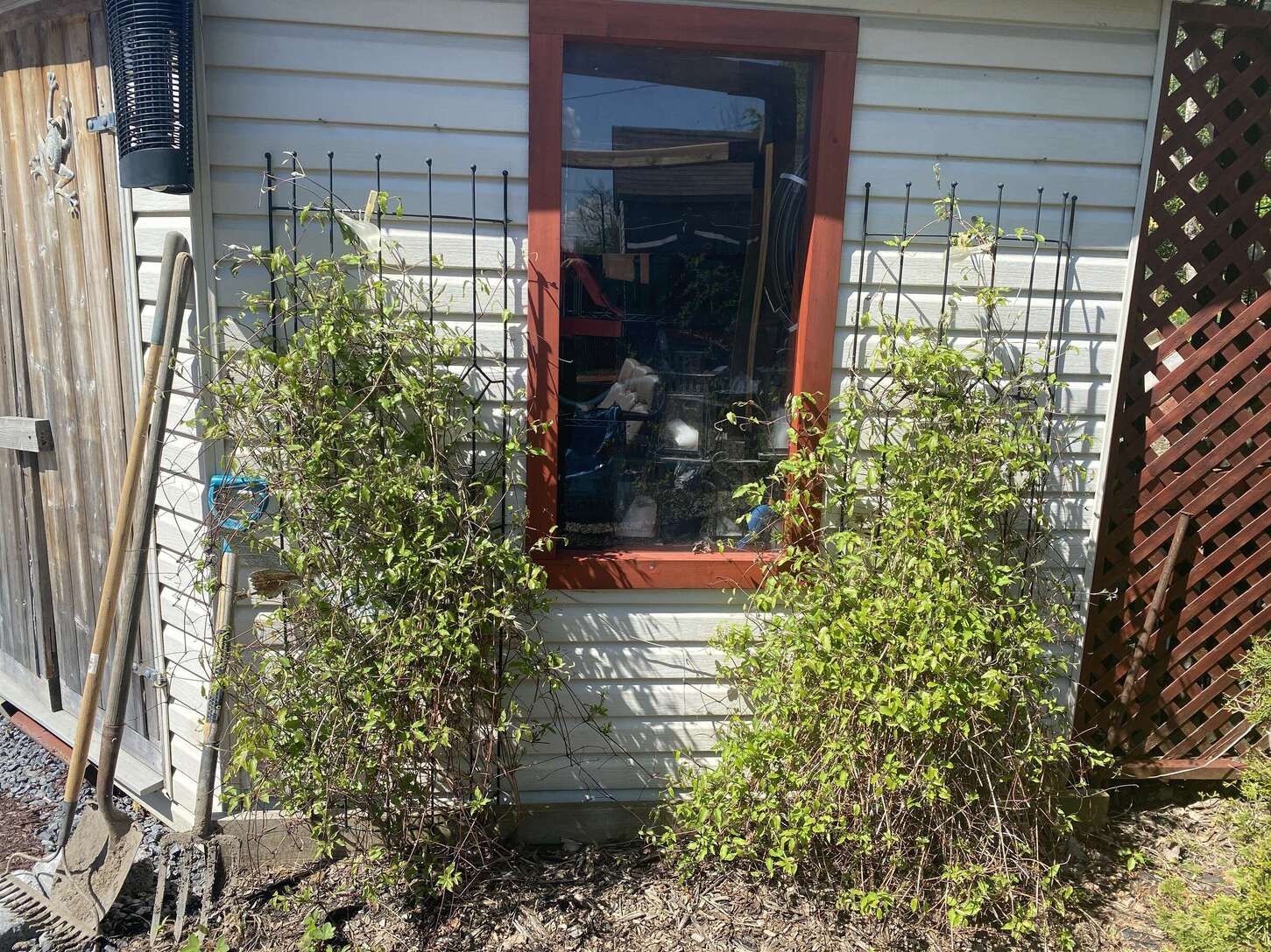 Image de diapositive