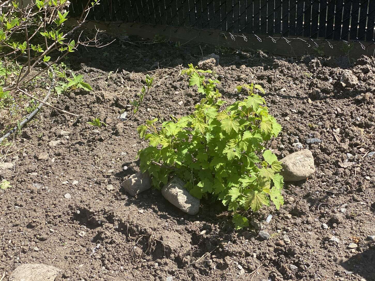 Image de diapositive