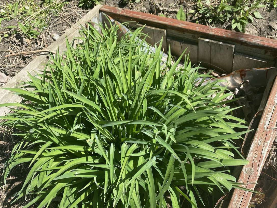 Image de diapositive