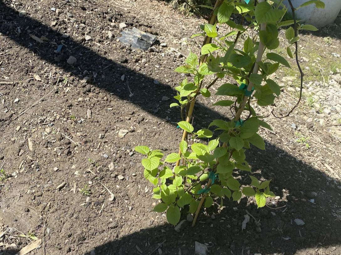 Image de diapositive