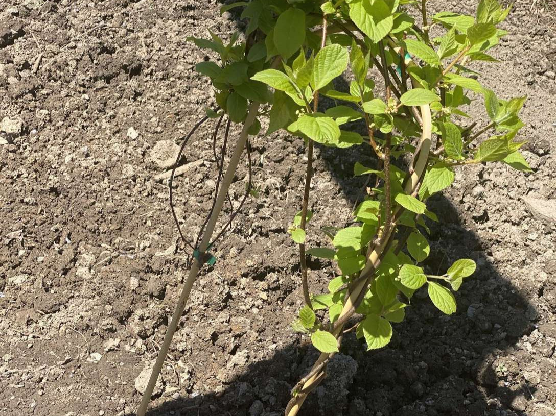 Image de diapositive