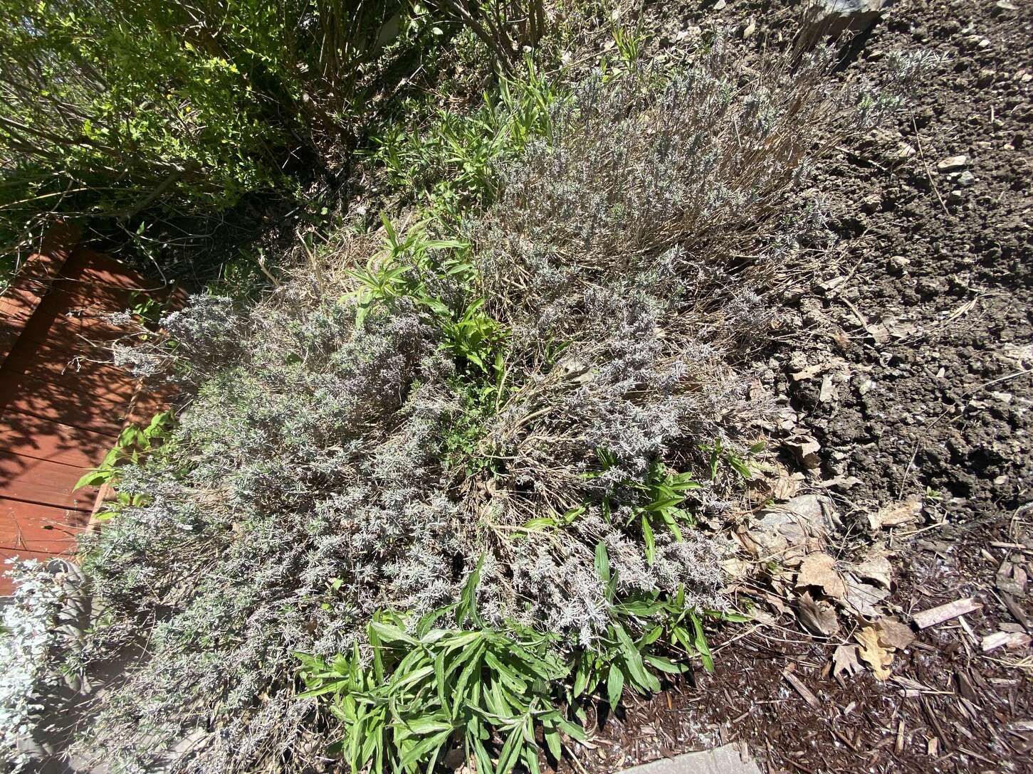 Image de diapositive