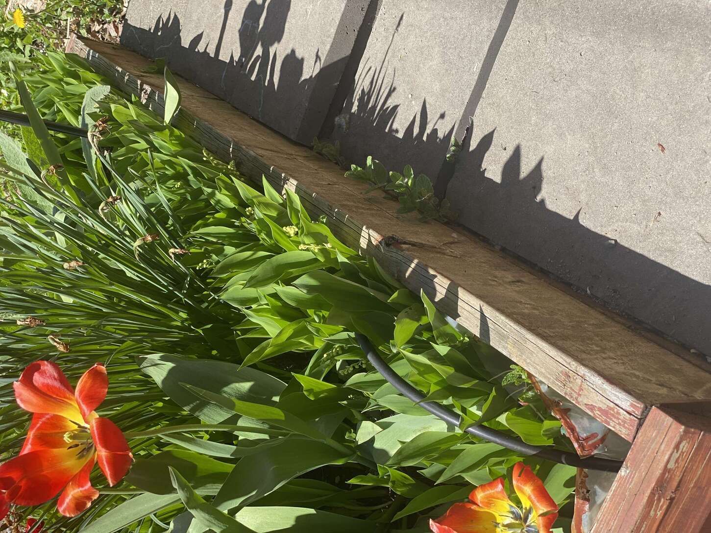 Image de diapositive