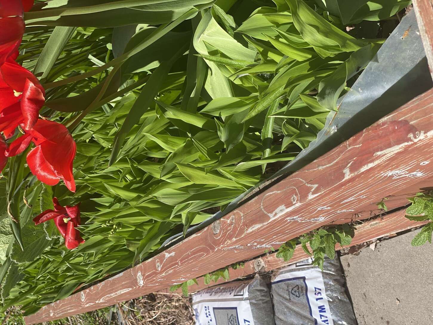 Image de diapositive