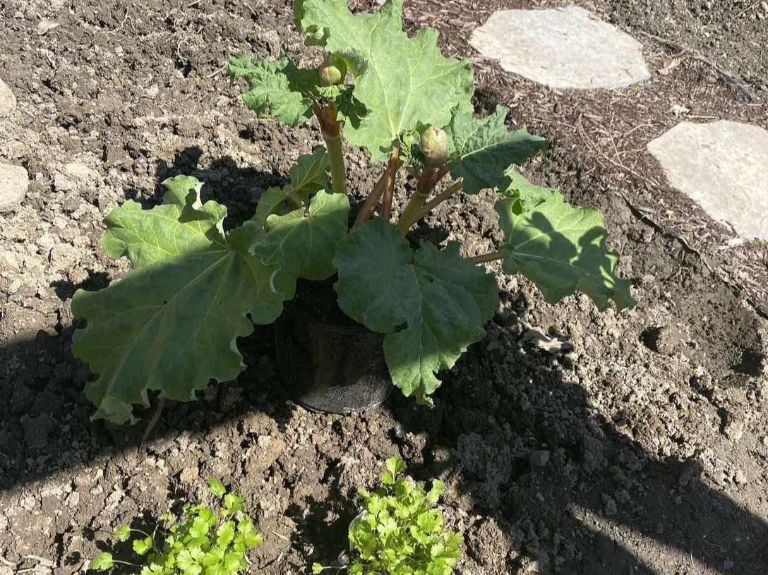 Image de diapositive