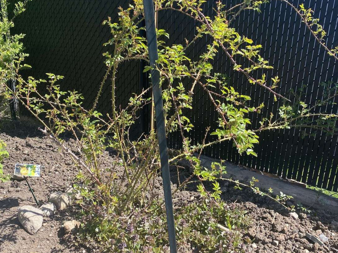 Image de diapositive