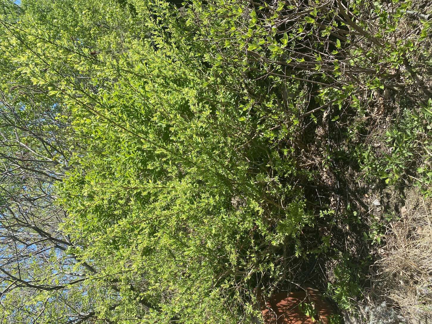 Image de diapositive