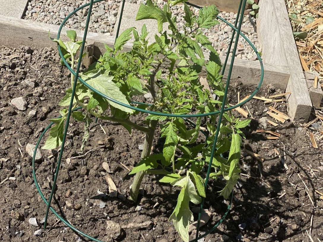 Image de diapositive