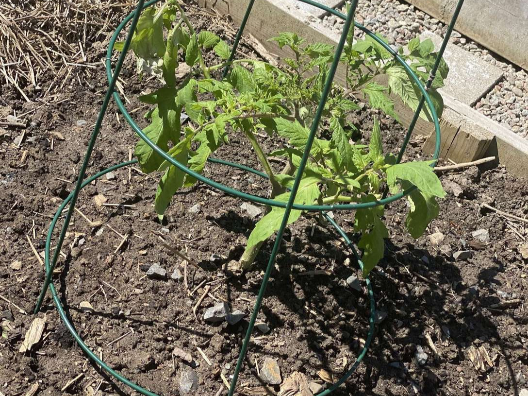 Image de diapositive