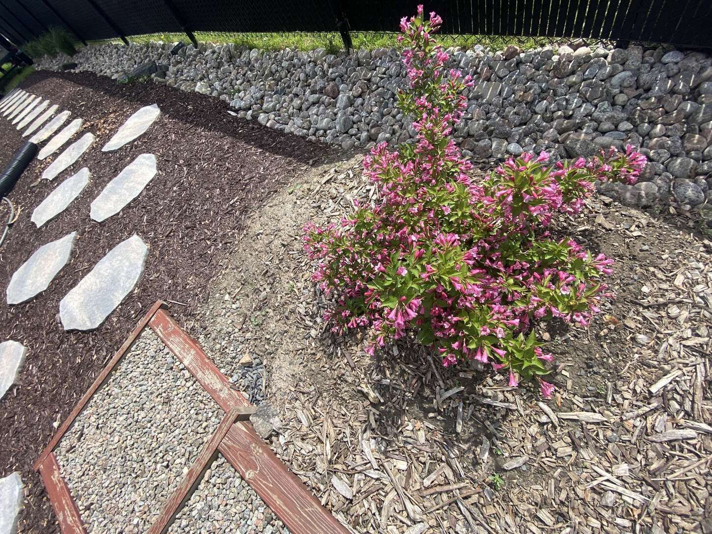 Image de diapositive